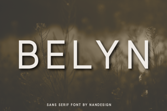 Belyn: A Modern Sans Serif for Bold Design