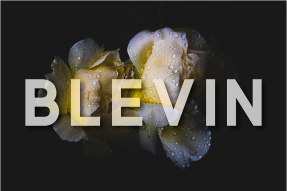 Blevin: A Modern Sans Serif for Creative Projects