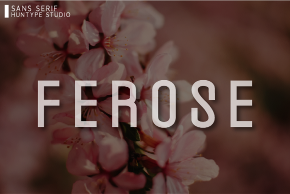 Ferose: A Modern Sans Serif for Campaigns