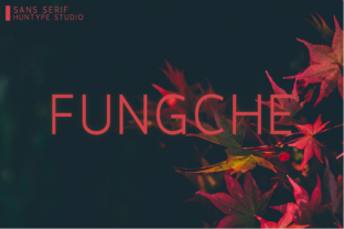 Fungche: A Modern Font for Business