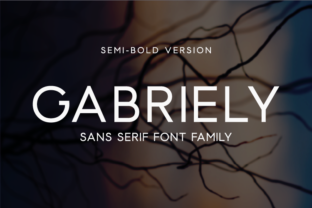 Gabriely Semi Bold: A Font for Creative Makers
