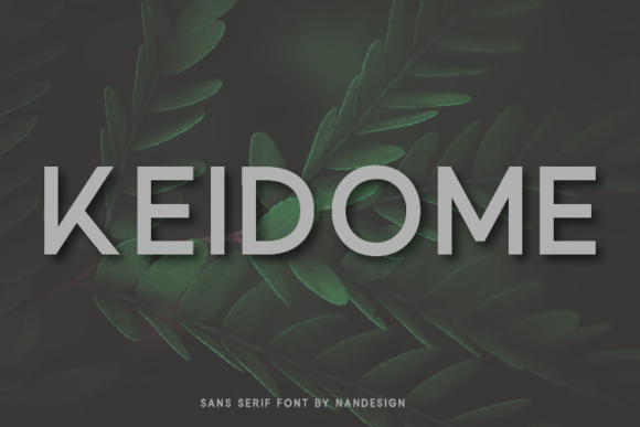 Keidome: A Clean Font for Business