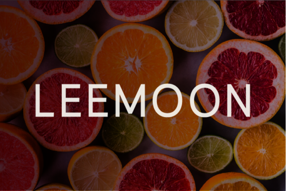 Leemoon: A Modern Sans Serif for Real-World Design