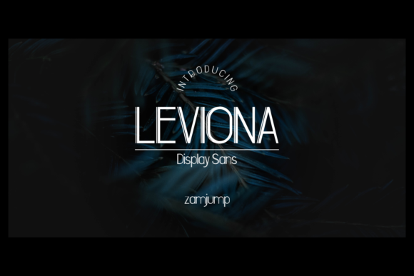 Leviona: A Modern Sans Serif Font