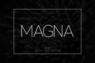 Magna Extra Light: A Font for Polished Branding