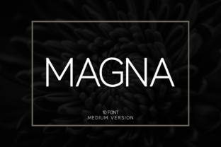 Magna Medium: A Modern Font for Business