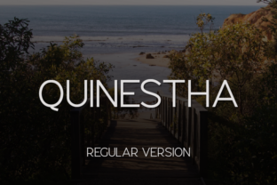 Quinestha: A Font for Polished Branding