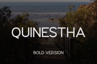 Quinestha Bold: A Font for Clear Campaigns