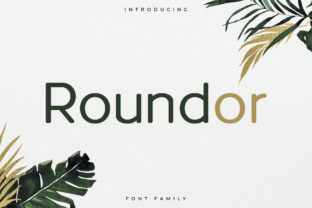 Roundor: A Modern Typeface for Editorial Design