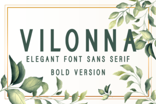 Vilonna Bold: A Modern Font for Editorial Design