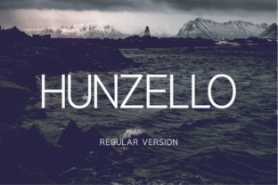 Why Hunzello Regular Matters for Business